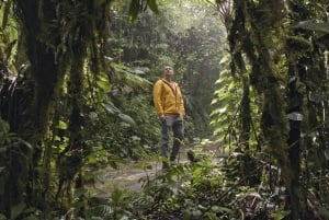 Monteverde: combo funivia e ponti sospesi Skywalk