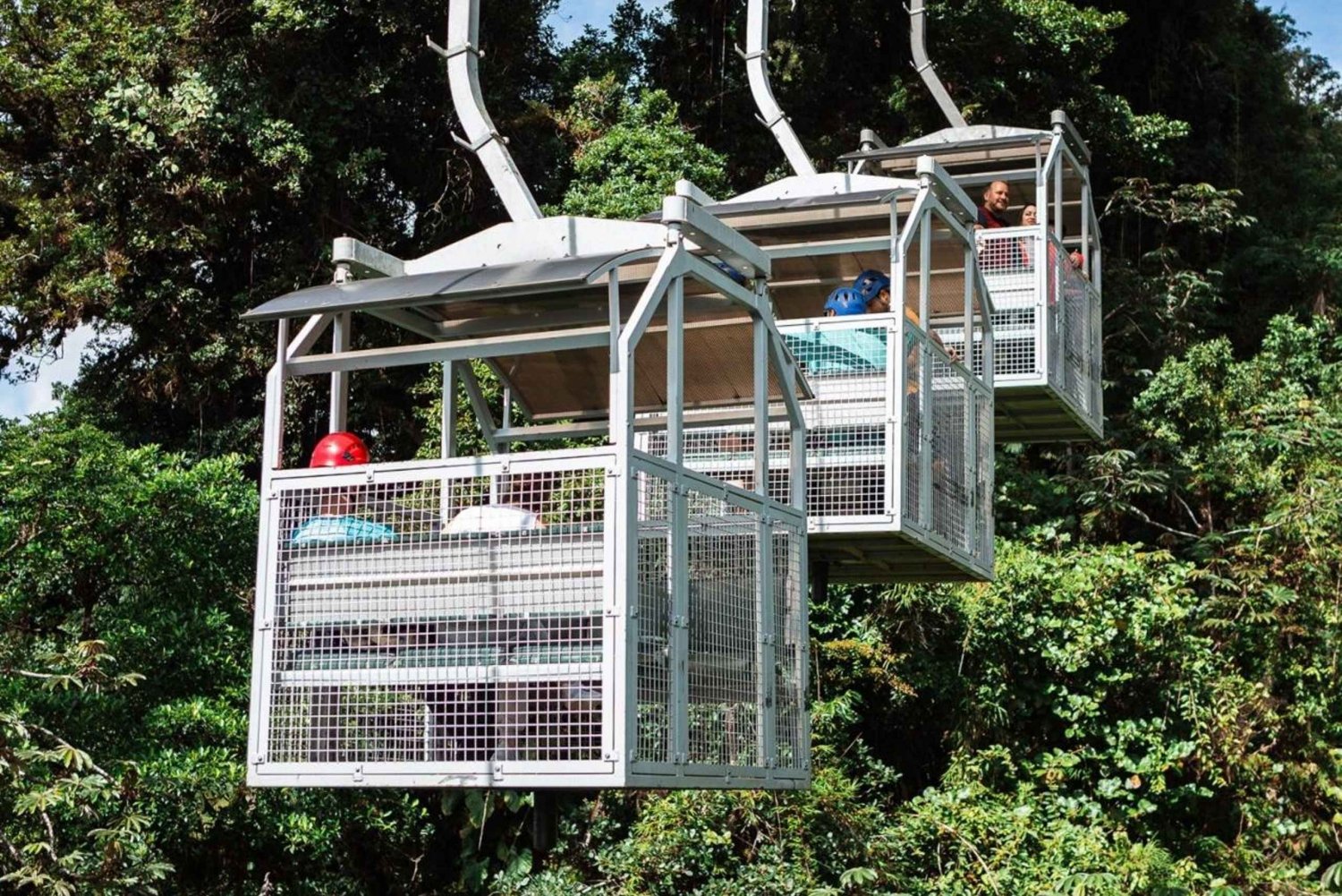 Monteverde: TreeTram-svævebane og vandresti i tågeskoven