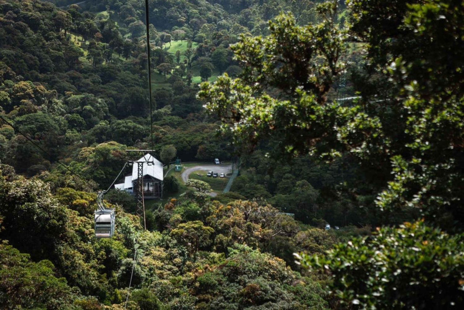 Monteverde : Téléphérique TreeTram et sentier de randonnée de la forêt de nuages