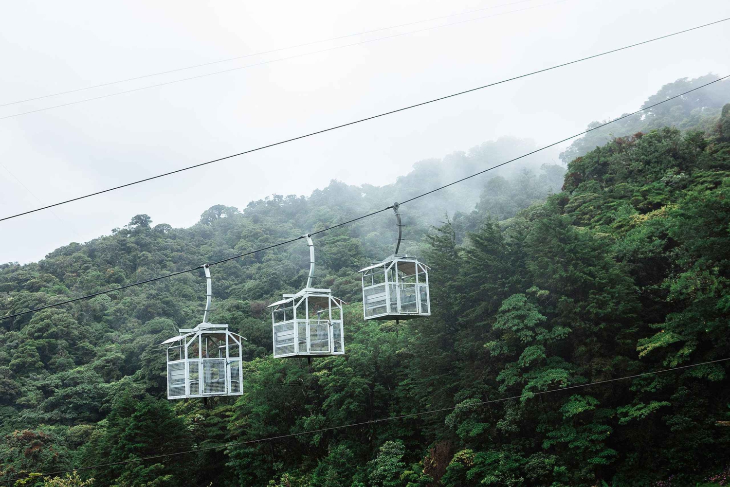Monteverde : Téléphérique TreeTram et sentier de randonnée de la forêt de nuages