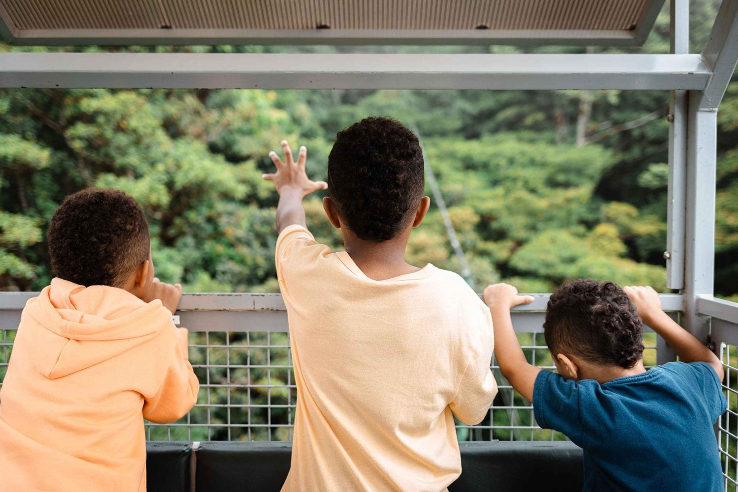 Monteverde : Téléphérique TreeTram et sentier de randonnée de la forêt de nuages