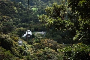 Monteverde: Funivia TreeTram e sentiero escursionistico della Foresta delle Nuvole