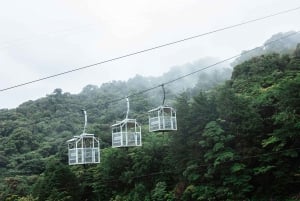 Monteverde: Funivia TreeTram e sentiero escursionistico della Foresta delle Nuvole