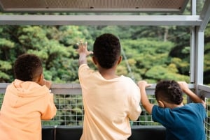 Monteverde: Funivia TreeTram e sentiero escursionistico della Foresta delle Nuvole