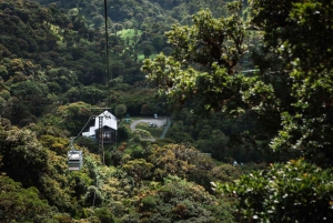 Monteverde : Téléphérique TreeTram et sentier de randonnée de la forêt de nuages