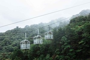 Monteverde : Téléphérique TreeTram et sentier de randonnée de la forêt de nuages