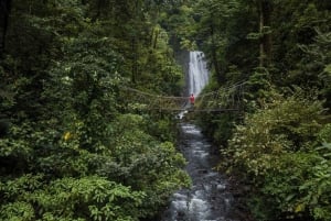 Monteverde: Vesiputouksia, villi vaellus ja ratsastus