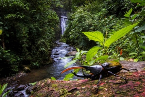 Monteverde: Vandfald, vilde trekking og ridning