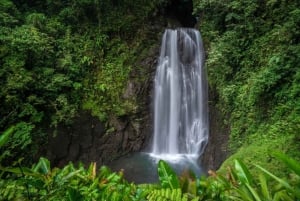 Monteverde: wodospady, dziki trekking i jazda konna