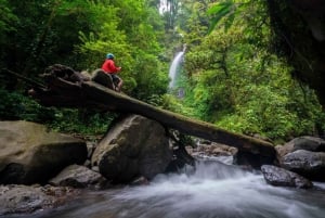 Monteverde : cascades, randonnées sauvages et équitation