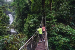 Monteverde: Vesiputouksia, villi vaellus ja ratsastus