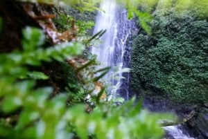 Monteverde: watervallen, wilde trekking en paardrijden