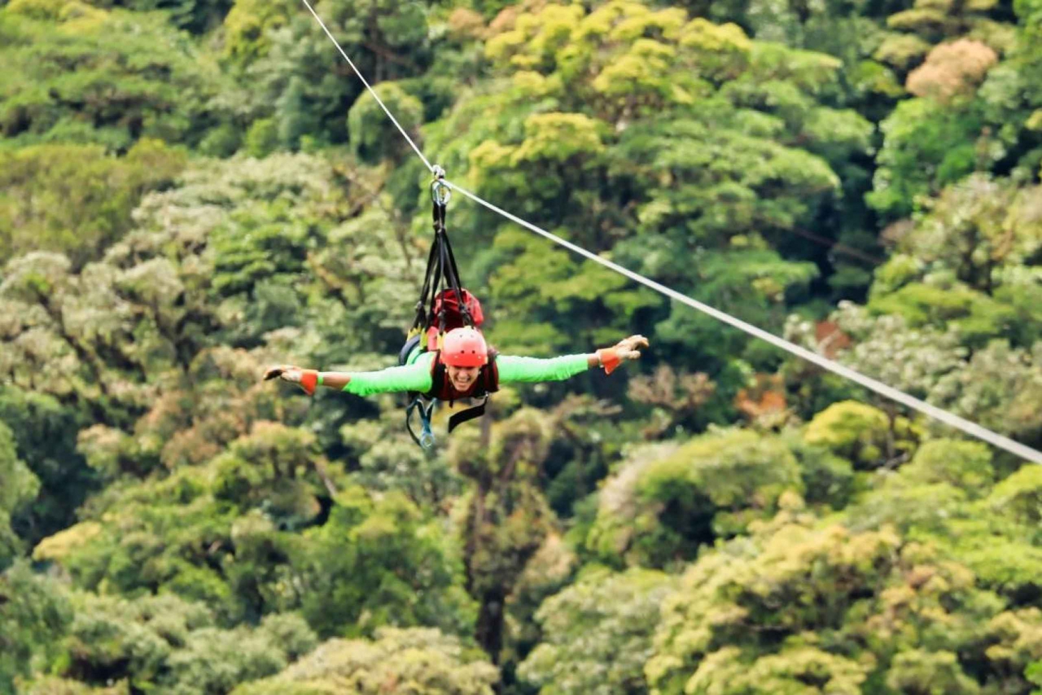 Monteverde : Tyrolienne, ponts et jardin de papillons