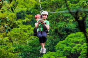 Monteverde: Zip Line, Bridges og Butterfly Garden Tour