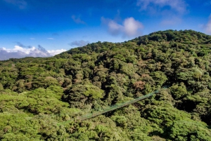 Monteverde : Tyrolienne, ponts et jardin de papillons