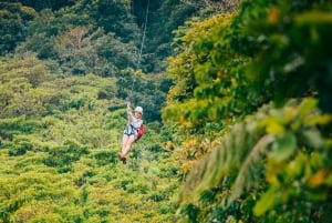 Monteverde : Tyroliennes, ponts, papillons, paresseux et plus encore