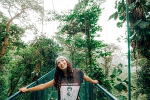 Monteverde: tyrolki, mosty, motyle, leniwce i nie tylko