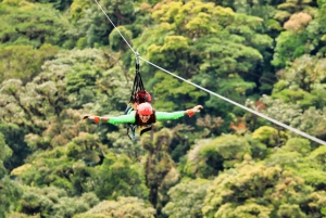 Monteverde: Zip Lines, Bridges, Butterflies, Sloths and more