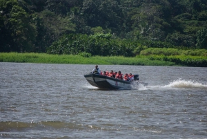 Motorboat Tour in Tortuguero National Park **BEST SELLER**