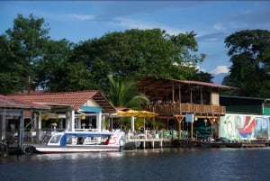 Motorboat Tour in Tortuguero National Park **BEST SELLER**