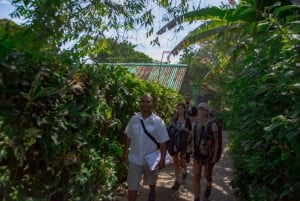 Motorboot Tour im Tortuguero National Park **BEST SELLER**