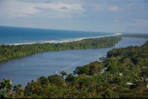 Motorboat Tour in Tortuguero National Park **BEST SELLER**