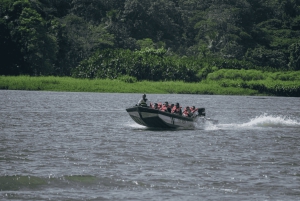 Motorboot Tour im Tortuguero National Park **BEST SELLER**