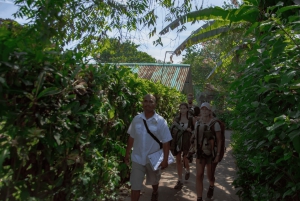 Motorboot Tour im Tortuguero National Park **BEST SELLER**
