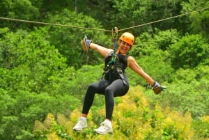 Mountain View Zipline Experience