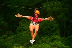 Mountain View Zipline Experience