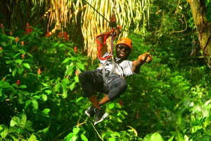 Mountain View Zipline Experience