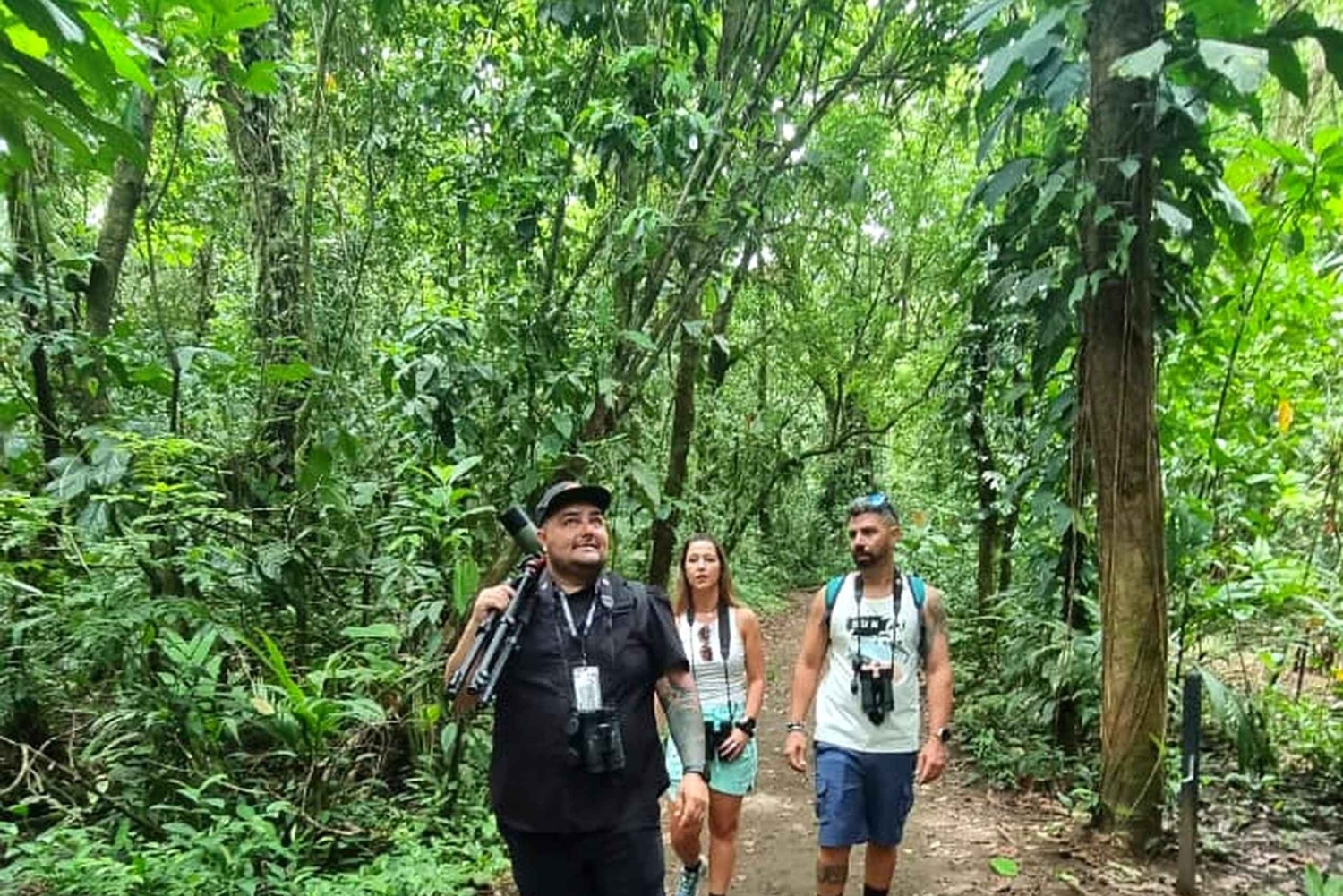 Mystical Walk – Jaguar Trail, Tortuguero National Park
