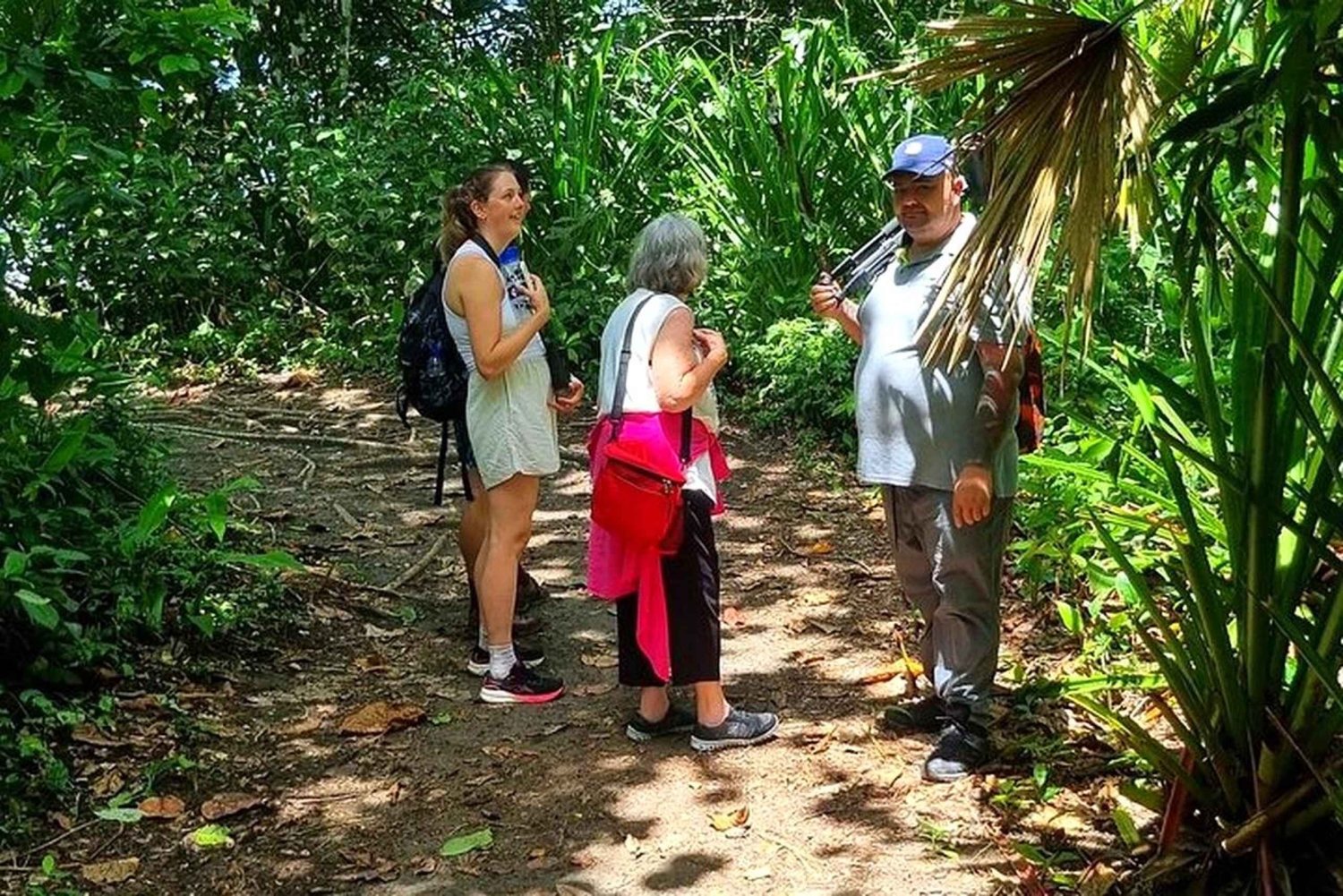 Mystical Walk – Jaguar Trail, Tortuguero National Park