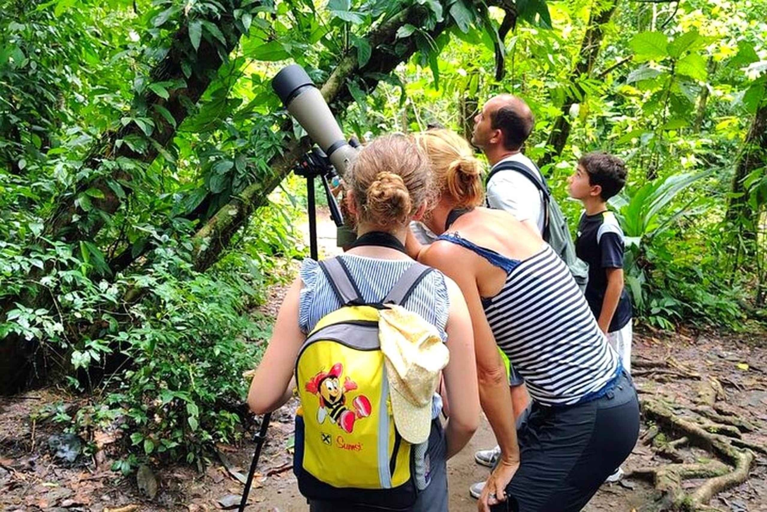 Mystical Walk – Jaguar Trail, Tortuguero National Park