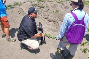 Mystical Walk – Jaguar Trail, Tortuguero National Park