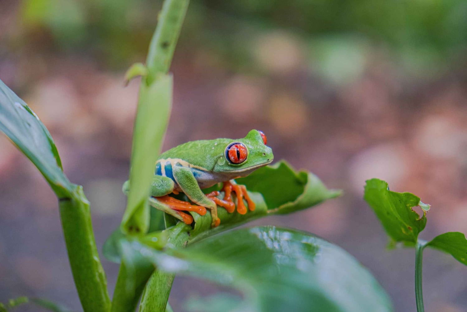 Natura Eco Park Admission: Wildlife Sanctuary