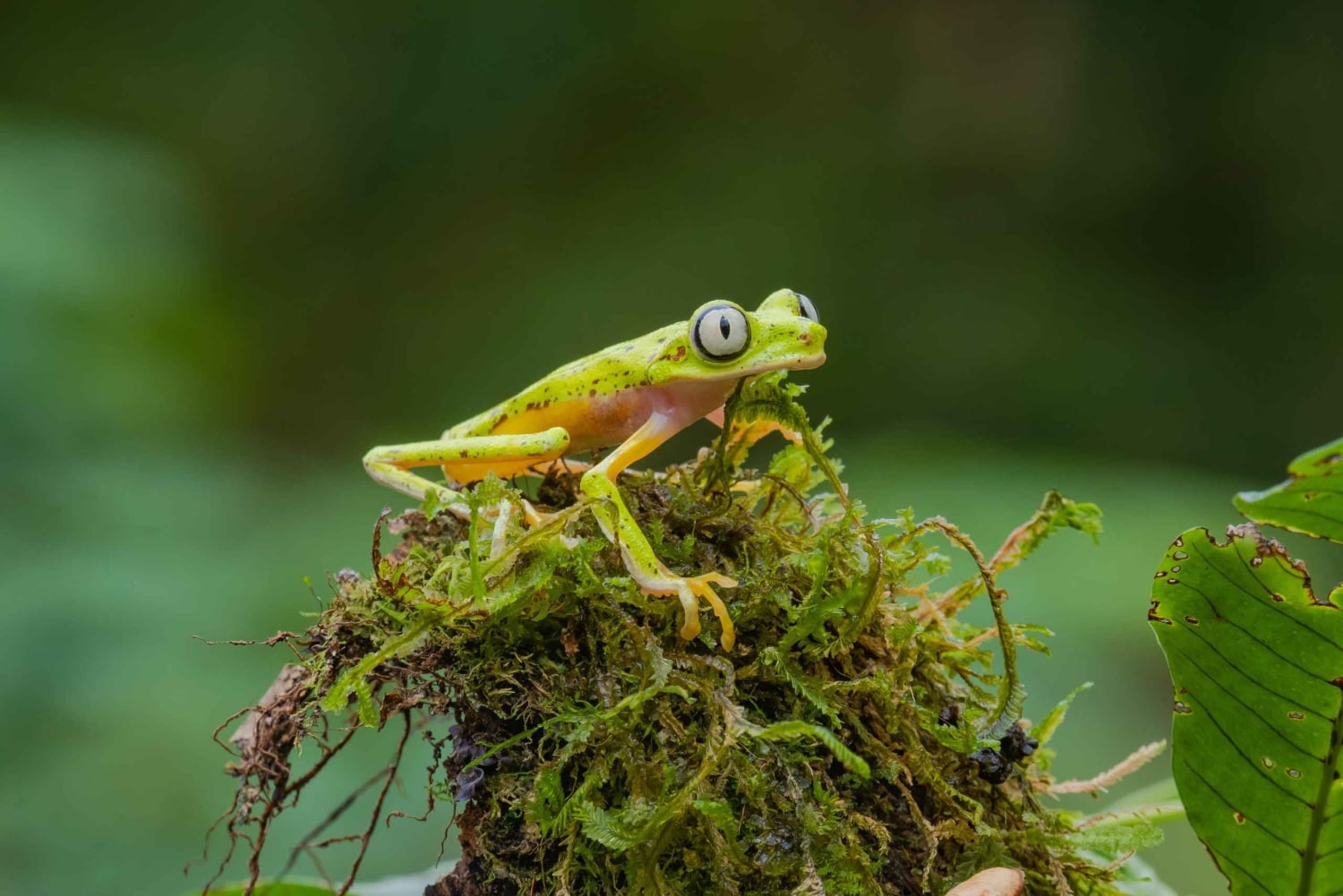 Natura Eco Park Admission: Wildlife Sanctuary