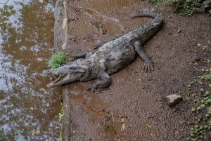 Entrada Natura Eco Park: Santuario de la Fauna