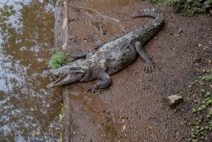 Adgang til Natura Eco Park: Reservat for vilde dyr