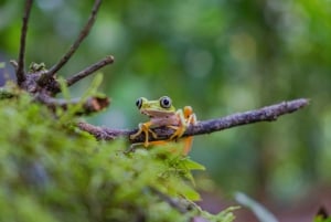 Adgang til Natura Eco Park: Reservat for vilde dyr