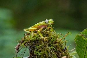 Natura Eco Park Admission: Wildlife Sanctuary