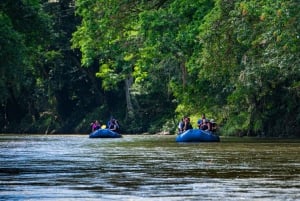 Nature Safari Float + Tortilla Making