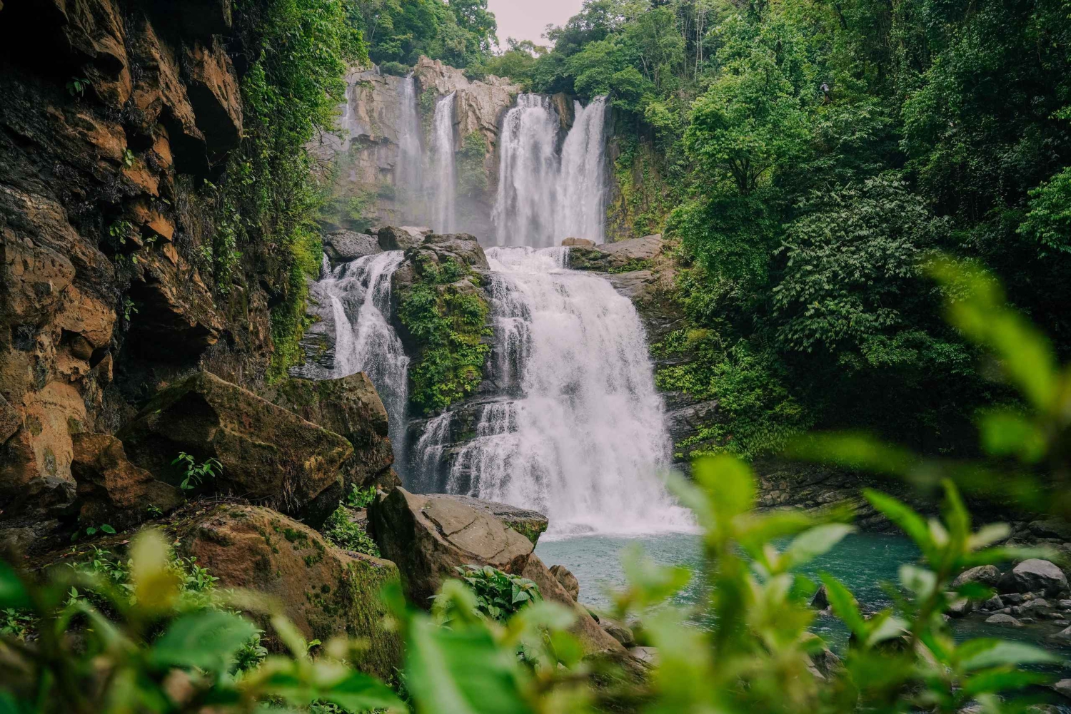 Nauyaca Cały dzień