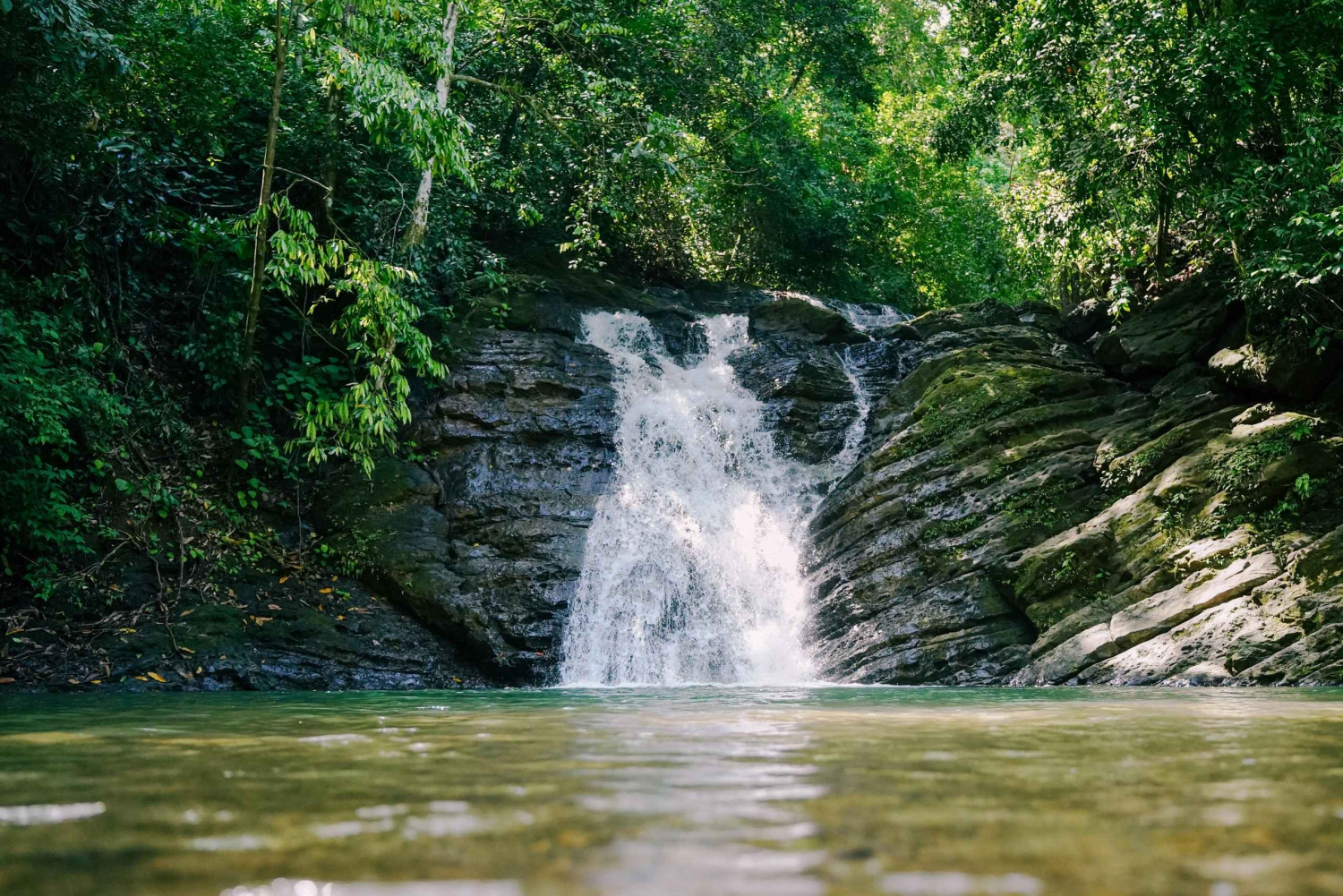 Nauyaca Cały dzień
