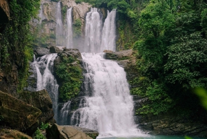 Nauyaca Cały dzień