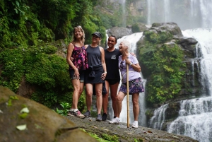 Nauyaca-waterval: wandelen, tractorrit en zwemmen met lunch