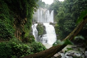 Nauyaca-waterval: wandelen, tractorrit en zwemmen met lunch