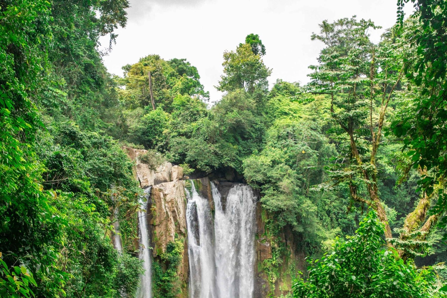Cascata di Nauyaca: navetta, biglietto per il parco e pranzo
