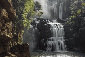 Nauyacan vesiputoukset: Nacaacauan vesiputoukset: Kokopäiväretket
