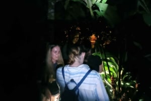 NACHTWANDERUNG - GUTER ORT, UM FAULTIERE, FLORA UND FAUNA ZU SEHEN